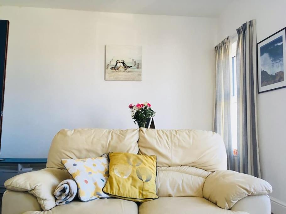 Hillcrest Cottage, Comfy Flat, Trendy Uplands Area Swansea Buitenkant foto