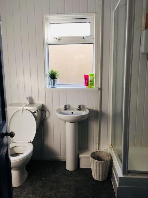 Hillcrest Cottage, Comfy Flat, Trendy Uplands Area Swansea Buitenkant foto
